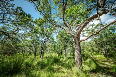 Property 12 Wollumbin Drive, URUNGA NSW 2455 IMAGE 0