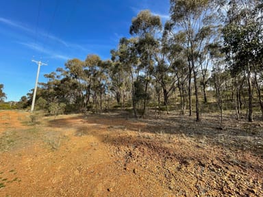 Property SUNRAYSIA HIGHWAY SUNRAYSIA HIGHWAY, St Arnaud VIC 3478 IMAGE 0