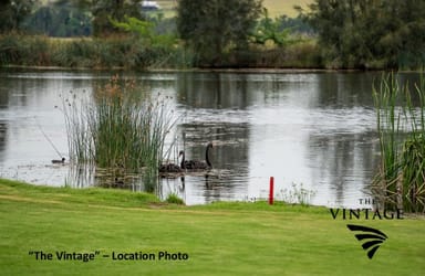 Property 15, The Cedars, Pokolbin NSW 2320 IMAGE 0