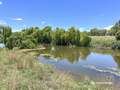 Property 213 Mclachlans Lane, Inverell NSW 2360 IMAGE 0