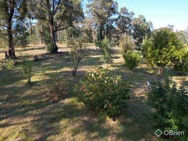 Property 19 Coach Road, Sarsfield VIC 3875 IMAGE 0