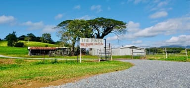 Property 1297 Mossman - Mt Molloy Road, Julatten QLD 4871 IMAGE 0