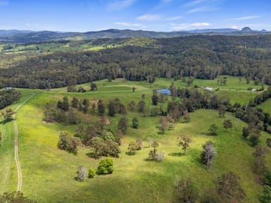 Property 423 Top Forestry Road, Ridgewood Qld 4563 IMAGE 0
