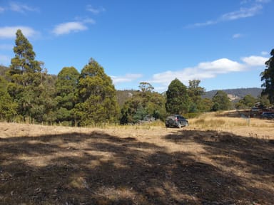 Property Lot 5 Liddells Road, CRABTREE TAS 7109 IMAGE 0