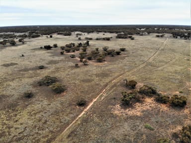 Property 2301 Arumpo Road, Mallee NSW 2738 IMAGE 0