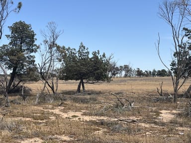 Property Lot 20248 & 26548 Doherty Road, South Kununoppin WA 6489 IMAGE 0