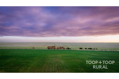 Property 735 Koch Road (via Loxton), Taldra SA 5311 IMAGE 0