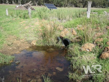 Property Lot 51 Churchlane Road, Napier WA 6330 IMAGE 0