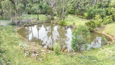 Property 181 Tamboon Road, Cann River VIC 3890 IMAGE 0