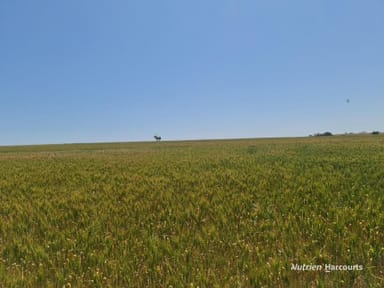 Property Corner Eaton & Rossmore Road, GOOMALLING WA 6460 IMAGE 0