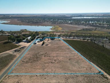 Property 7 The Avenue, Waikerie SA 5330 IMAGE 0