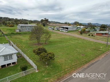 Property 44 Learmonth Street, WILLOW TREE NSW 2339 IMAGE 0