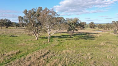 Property Lot 5 Warral-Bithramere Road, TAMWORTH NSW 2340 IMAGE 0