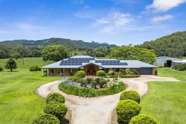 Property 981 Numinbah Road, Crystal Creek NSW 2484 IMAGE 0
