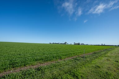 Property Glenrowan 209 Washington Road, Katanning WA 6317 IMAGE 0