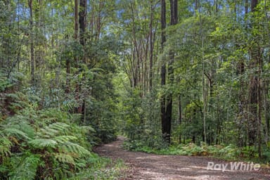 Property 65 Porters Road, UPPER CRYSTAL CREEK NSW 2484 IMAGE 0