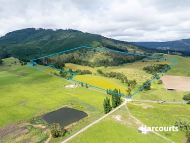 Property Lot 1 South Springfield Road, SPRINGFIELD TAS 7260 IMAGE 0