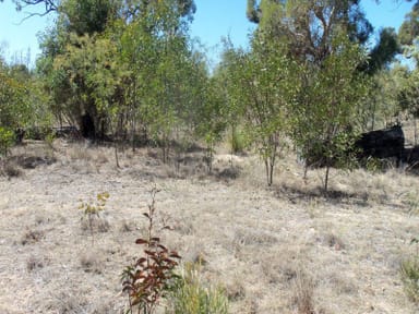 Property Lot 41 Bennetts School Road St, Tara QLD 4421 IMAGE 0