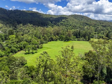 Property 650 Darkwood Road, Thora NSW 2454 IMAGE 0