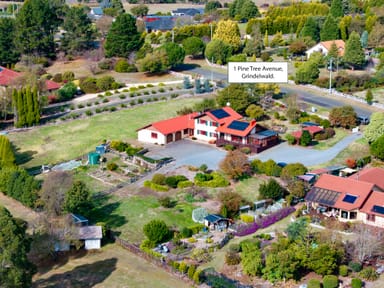 Property 1 Pine Tree Avenue, GRINDELWALD TAS 7277 IMAGE 0