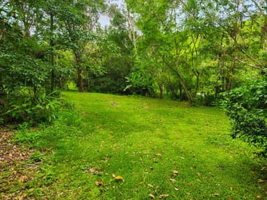 Property 10 Carabeen Place, Mcleans Ridges NSW 2480 IMAGE 0