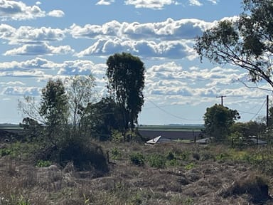Property Lot 209 William Street, AUBIGNY QLD 4401 IMAGE 0