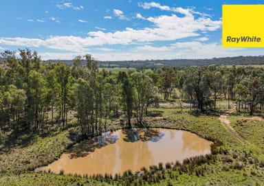 Property 671 Oregon Road, Warialda NSW 2402 IMAGE 0