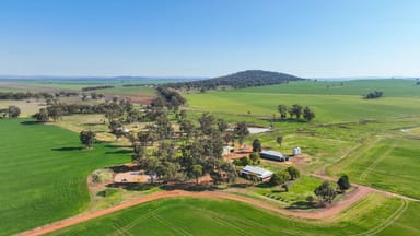 Property 326 Wightman Road, GUNNEDAH NSW 2380 IMAGE 0