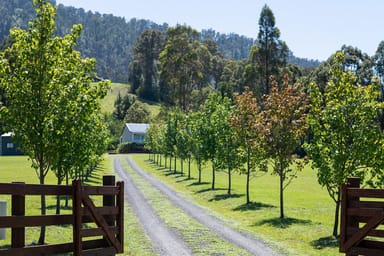 Property 404 Duffys Lane, Kangaroo Valley NSW 2577 IMAGE 0