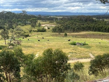 Property 204 Wylie Creek Road, WYLIE CREEK NSW 2372 IMAGE 0