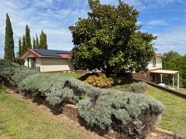 Property 95 Gilbert Street, TUMBARUMBA NSW 2653 IMAGE 0