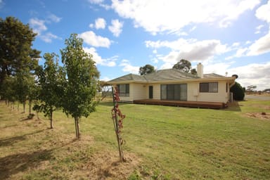 Property 1786 Echuca-Mitiamo Road, Kotta VIC 3565 IMAGE 0