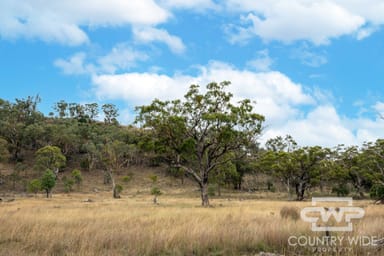 Property 137, 4108 Tent Hill Road, EMMAVILLE NSW 2371 IMAGE 0