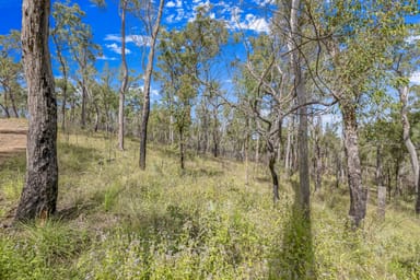 Property 151 Findlay Road, DUINGAL QLD 4671 IMAGE 0