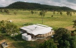 Property 124 Lee Farm Road, Bushley Qld 4702 IMAGE 0