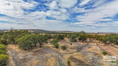 Property 29574 & 29 Spencers Brook Road, Spencers Brook WA 6401 IMAGE 0