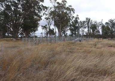 Property Lot 52 Chinchilla Wondai Road, JANDOWAE QLD 4410 IMAGE 0