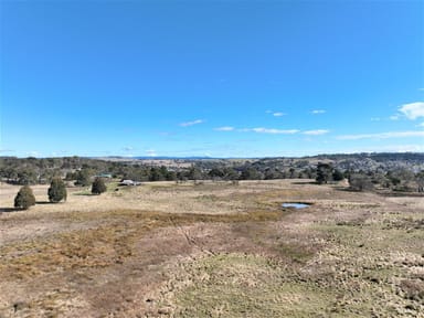 Property Bucky Springs Road Bucky Springs Road, Bombala NSW 2632 IMAGE 0