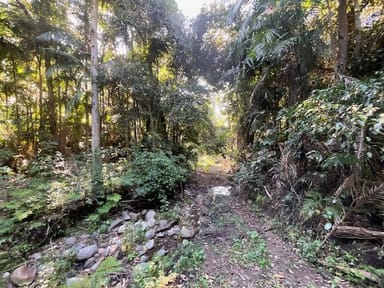 Property Lot 503 Cedarvale Road,, SANDY CREEK QLD 4515 IMAGE 0