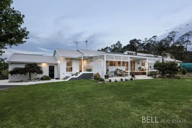 Property 19 Mulhalls Road, Macclesfield VIC 3782 IMAGE 0