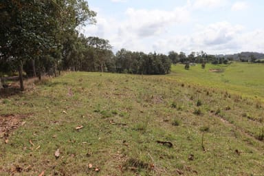 Property Lot 59 Meredith/Sandy Creek Road, Veteran QLD 4570 IMAGE 0