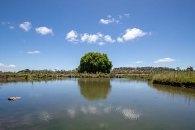 Property 633 Black Mountain Road, Black Mountain NSW 2365 IMAGE 0