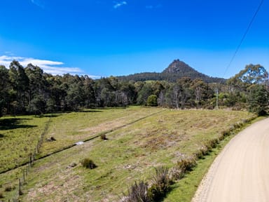 Property Lot Lot 1, 221 Irish Town Road, ST MARYS TAS 7215 IMAGE 0