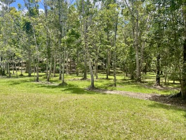 Property 2869 Mossman Daintree Road, Lower Daintree, DAINTREE QLD 4873 IMAGE 0