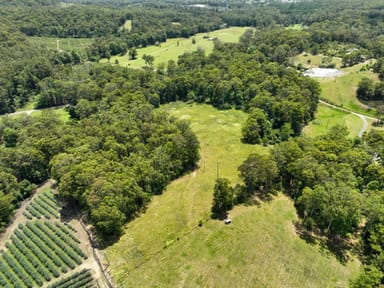 Property 259D Woolgoolga Creek Rd, Woolgoolga NSW 2456 IMAGE 0