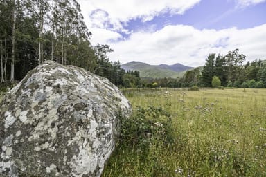 Property 2, Fyfes Road, MOUNTAIN RIVER TAS 7109 IMAGE 0