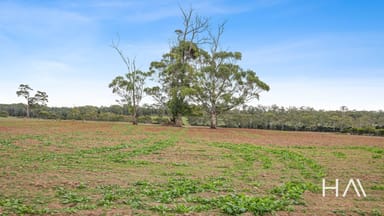 Property 93 Douglas Road, Lefroy TAS 7252 IMAGE 0