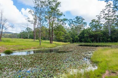 Property 876 SMITHS CREEK ROAD, KUNDABUNG NSW 2441 IMAGE 0
