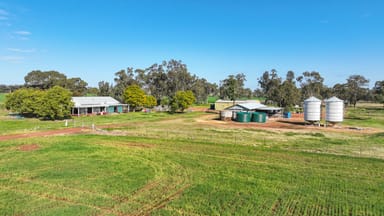 Property 326 Wightman Road, GUNNEDAH NSW 2380 IMAGE 0