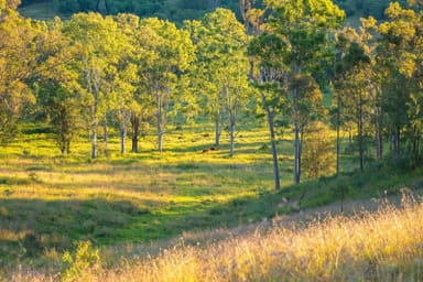 Property Lot 6 Eel Creek Road, Langshaw QLD 4570 IMAGE 0